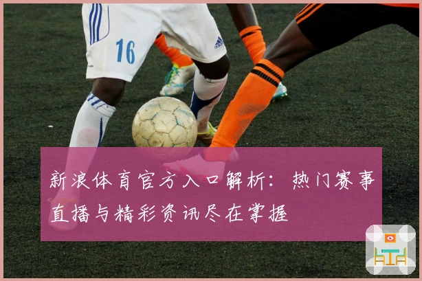新浪体育官方入口解析：热门赛事直播与精彩资讯尽在掌握