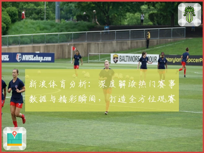 新浪体育分析:深度解读热门赛事数据与精彩瞬间,打造全方位观赛体验