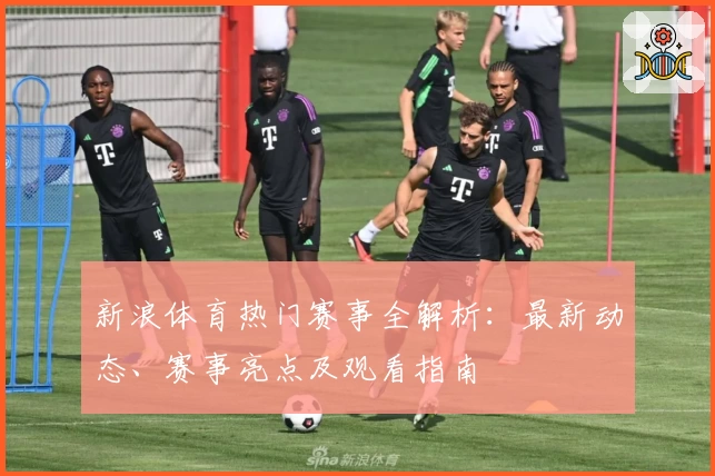 新浪体育热门赛事全解析：最新动态、赛事亮点及观看指南