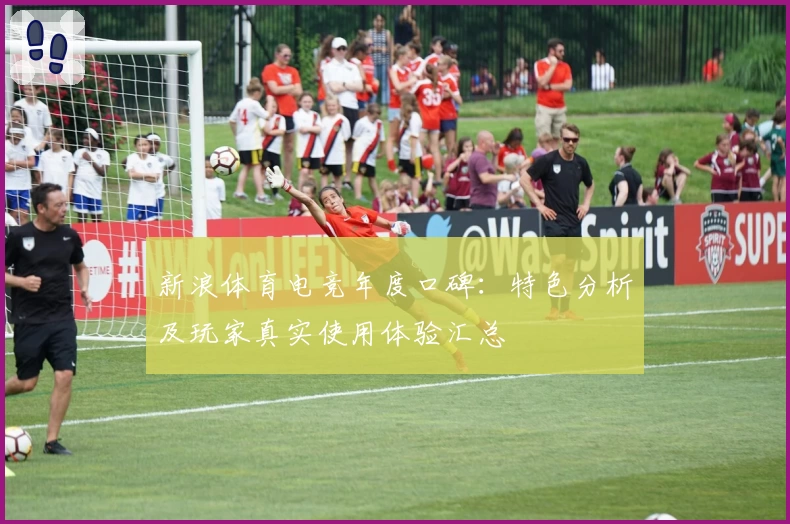 新浪体育电竞年度口碑：特色分析及玩家真实使用体验汇总