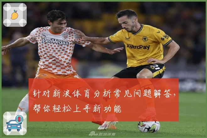 针对新浪体育分析常见问题解答，帮你轻松上手新功能