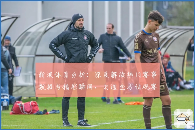 新浪体育分析：深度解读热门赛事数据与精彩瞬间，打造全方位观赛体验