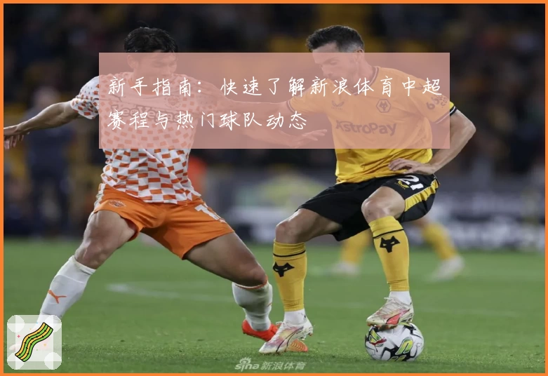 新手指南：快速了解新浪体育中超赛程与热门球队动态