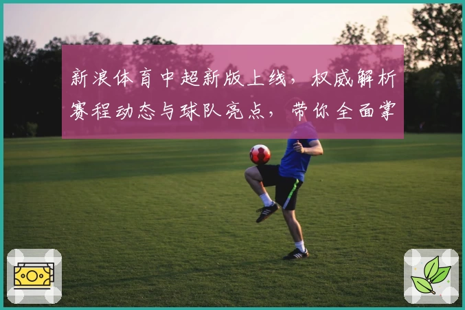 新浪体育中超新版上线，权威解析赛程动态与球队亮点，带你全面掌握联赛精彩时刻