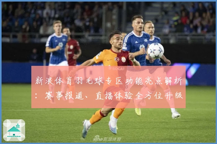 新浪体育羽毛球专区功能亮点解析：赛事报道、直播体验全方位升级